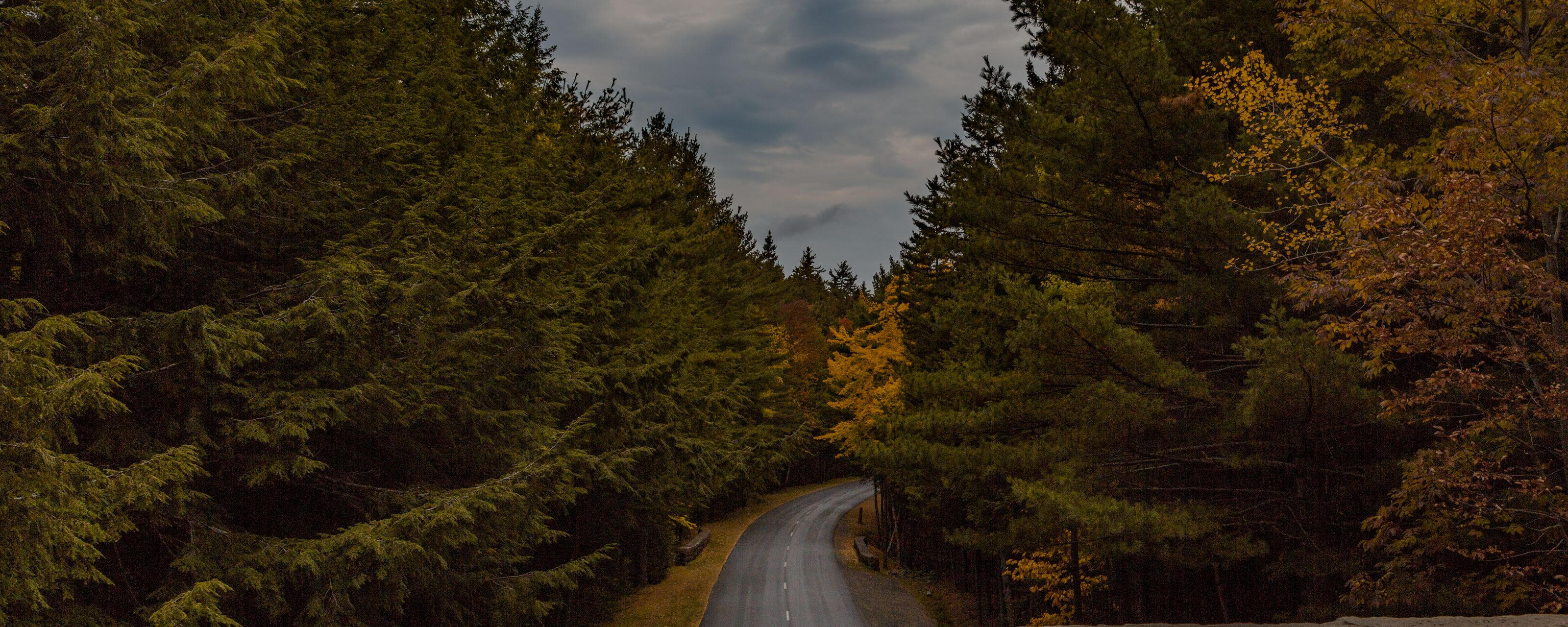 Tree-lined Maine road in fall